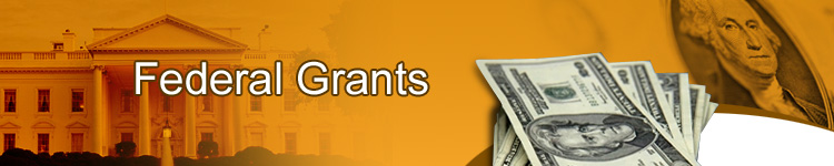 Government Grants
