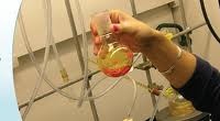 Minorities in STEM Majors