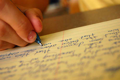 nsf essay word limit