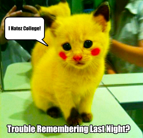 Party Animal