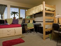 Well Organized Dorm Room
