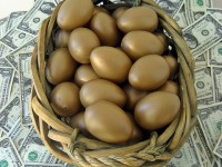 Money with Golden Eggs